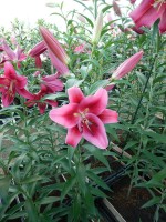 [4157 Campaign Mak No101.JPG]